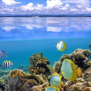 Meet your Posher, Leanna